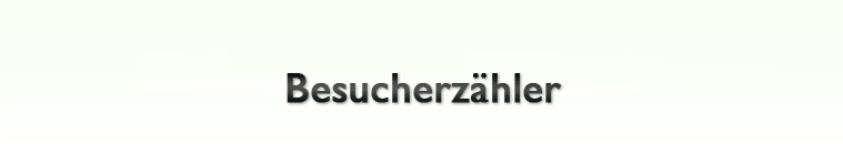 Besucherz&auml;hler
