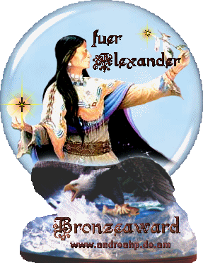 Bronze Award