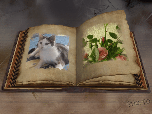 Gästebuch