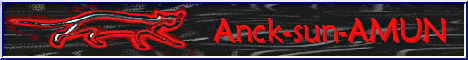 Amun banner